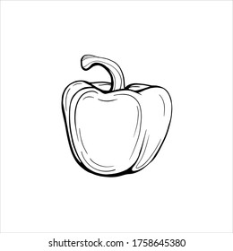 bell pepper isolated on a white background. Paprika. Sweet capsicum is a delicious vegetable for dietary nutrition. Hand drawn vector illustration