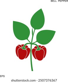 Bell Pepper logo. Isolated Bell Pepper  on white background. Paprika
