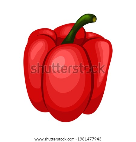 Bell pepper on white background. Sweet red paprika. Vector illustration of vegetables in cartoon flat style.