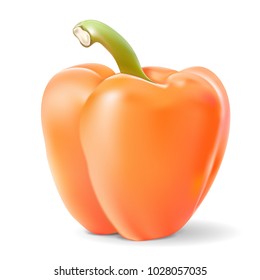 Bell pepper. Orange vegetable with transparent shadow. Vector 3d illustration isolated on white background