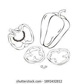 Bell Pepper Pod, Black And White Drawing, Fresh Raw Vegetables, Vector Image, Linear Art