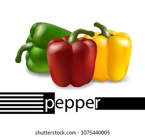 Bell pepper set in red, yellow, green. Realistic 3d pepper illustration. Vector.