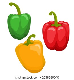 Bell pepper, Set of three bell peppers. Yellow, red and green pepper. Vector illustration.