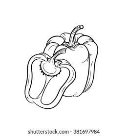 Bell pepper sketch hand drawn illustration isolated on white background - stock vector