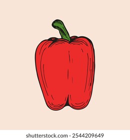 Bell pepper sketch outline illustration. Simple doodle drawing in engraving style. Hand drawn vector line art clipart