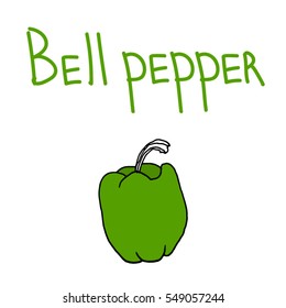 Bell pepper. Vector illustration