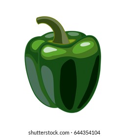 Bell pepper. Vector illustration.