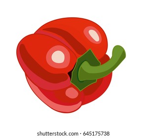 Bell pepper. Vector illustration.