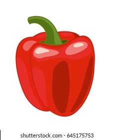 Bell pepper. Vector illustration.
