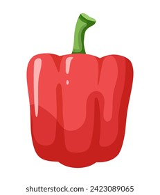 Bell pepper. Vector illustration isolated on white background.