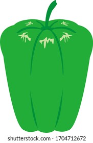 Bell pepper vector illustration, paprika