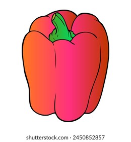 bell pepper vector illustration,isolated on white background,top view