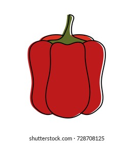 bell pepper vegetable icon image 