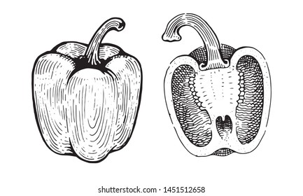 Bell Peppers, paprika, whole and half. Drawing graphics, black and white vector graphics