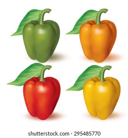 Bell peppers. Photo realistic set of different color. Vector illustration.