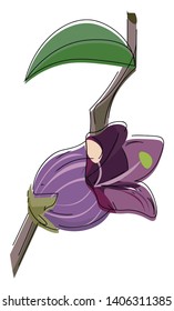 It is a bell shaped purplish and reddish color flower of belladonna tree., vector, color drawing or illustration. 
