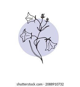A bell, a wild flower drawn in a vector. Drawing of wild flowers.
