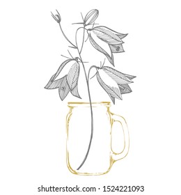 Bellflower blossoms, leaves and bouquets set. Natural summer, spring meadow plants monochrome. Floral natural illustration for poster, textile decoration. Botanical plant illustration