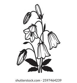 Bellflower – The Charming Star-Shaped Bloom