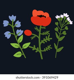 Bellflower, poppy and pennycress illustration