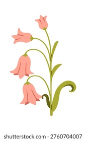 Bellflower stem with three hanging blooms and curled leaf in clean cartoon style