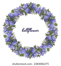 Bellflower wreath isolated on white background. Hand drawn flowers for invitation, wedding or postcard. EPS 10 vector illustration.