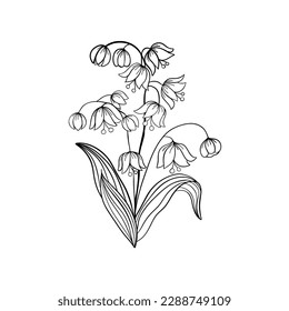 Bell-flowers Campanula - Hand drawn vector illustration of black lines bell flowers and buds on white background. Colorful flowers icons set. Vector isolated floral elements.