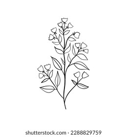 Bell-flowers Campanula - Hand drawn vector illustration of black lines bell flowers and buds on white background. Colorful flowers icons set. Vector isolated floral elements.