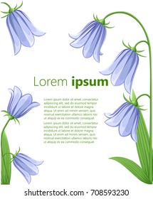 Bell-flowers Campanula Hand drawn vector illustration of blue bell flowers and buds on white background.