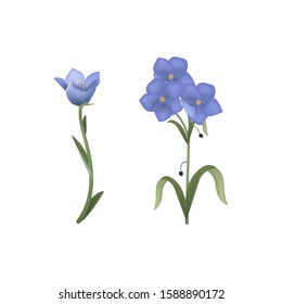 Bellflowers, forget-me-not set of hand drawn vector illustrations.Template for greeting card, web design.