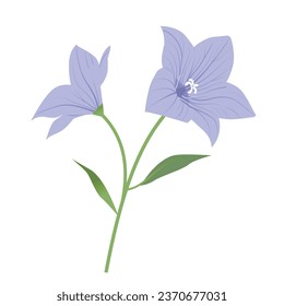 Flores sobre fondo blanco, Ilustración vectorial
