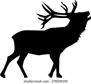 Belling Deer
