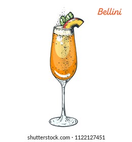 Bellini cocktail illustration. Alcoholic cocktails hand drawn vector illustration. 