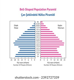 bell-shaped population pyramid, pyramid of population