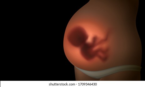 Belly of a pregnant woman with a glowing silhouette of the embryo in the womb