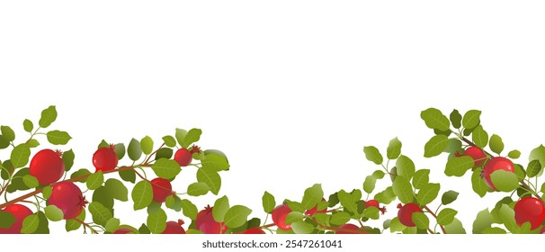 Below branch. Branches of pomegranate fruit. Ripe and red. Delicious harvest in garden. Object isolated on white background. Cartoon fun style Illustration vector