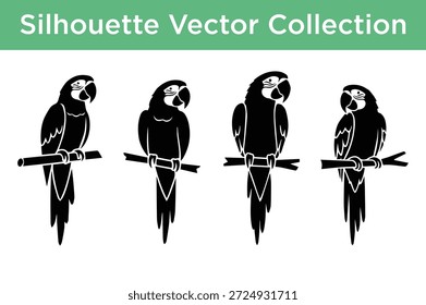 Debajo de cada encabezado hay un conjunto de ilustraciones de siluetas en blanco y negro que representan diferentes temas