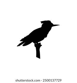 Belted kingfisher bird black silhouette vector on a white background