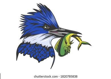 BELTED KINGFISHER BIRD EAT THE MAHI MAHI FISH VECTOR ILLUSTRATION