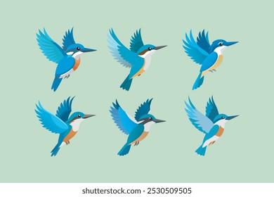 Belted Kingfisher  Bird in flying movement vector artwork