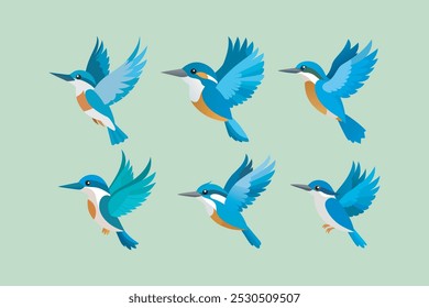 Belted Kingfisher  Bird in flying movement vector artwork