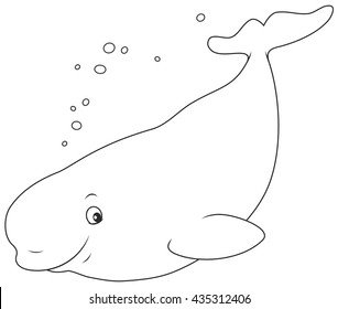 1,459 Beluga cartoon Images, Stock Photos & Vectors | Shutterstock