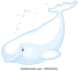 Beluga