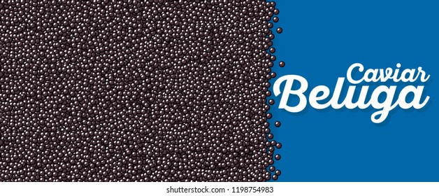 Beluga caviar banner in cartoon style. Delicious seafood background. Black caviar vector illustration. Natural and healthy luxury food. Design element for fish menu.