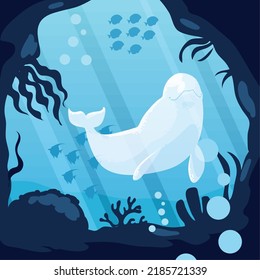 beluga and fishes underwater scene