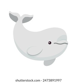 Beluga illustration. White whale art. White background. Cartoon vector graphics.