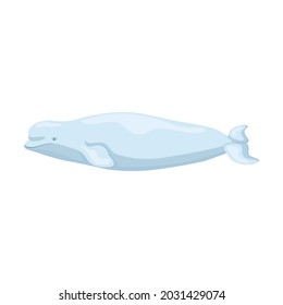 Beluga isolated on white background. Cartoon character of ocean for children. Simple print with marine mammal. Design for any purposes. Vector illustration.