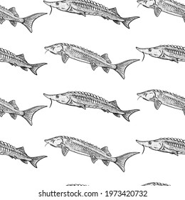Beluga seamless pattern. Hand drawn vector fish. Sea, river or ocean fish. Design for fishing catch or fisher sport club. Fish market, menu seafood. Design template, banner