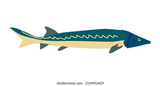 Beluga Sturgeon Fish In Doodle Style Colorful Illustration