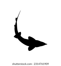 Beluga Sturgeon or Huso Fish Silhouette, Fish Which Produce Premium and Expensive Caviar, For Logo Type, Art Illustration, Pictogram, Apps, Website or Graphic Design Element. Vector Illustration